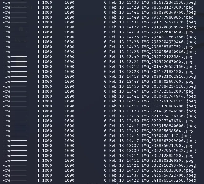 Pasted image 20250213153047.png